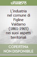 L'industria nel comune di Figline Valdarno (1861-1965) nei suoi aspetti territoriali libro