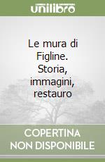 Le mura di Figline. Storia, immagini, restauro
