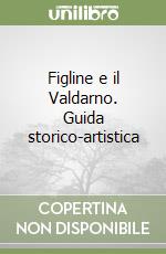 Figline e il Valdarno. Guida storico-artistica libro