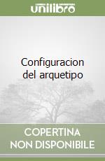 Configuracion del arquetipo libro