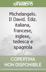 Michelangelo. Il David. Ediz. italiana, francese, inglese, tedesca e spagnola