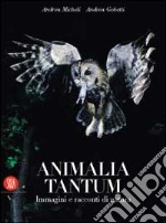 Animalia tantum. Ediz. illustrata