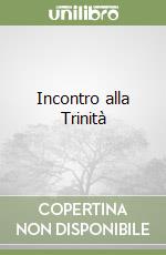 Incontro alla Trinità libro
