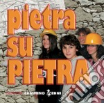 Pietra su pietra. Cammino 14enni libro