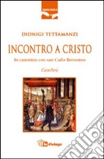 Incontro a Cristo. In cammino con san Carlo Borromeo libro