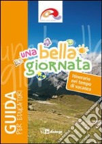 Una bella giornata. Guida per educatori libro