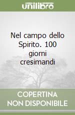 Nel campo dello Spirito. 100 giorni cresimandi libro