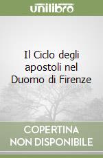 Il Ciclo degli apostoli nel Duomo di Firenze libro