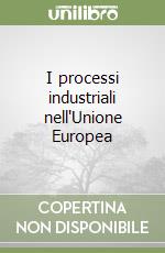 I processi industriali nell'Unione Europea libro