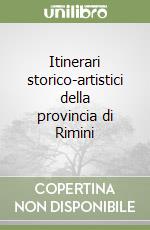 Itinerari storico-artistici della provincia di Rimini libro