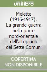 Melette (1916-1917). La grande guerra nella parte nord-orientale dell'altopiano dei Sette Comuni libro