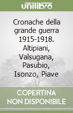 Cronache della grande guerra 1915-1918. Altipiani, Valsugana, Pasubio, Isonzo, Piave libro