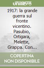 1917: la grande guerra sul fronte vicentino. Pasubio, Ortigara, Melette, Grappa. Con videocassetta libro