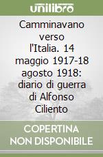 Camminavano verso l'Italia. 14 maggio 1917-18 agosto 1918: diario di guerra di Alfonso Ciliento libro