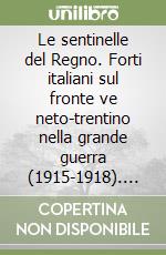 Le sentinelle del Regno. Forti italiani sul fronte ve neto-trentino nella grande guerra (1915-1918). Con videocassetta libro