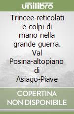 Trincee-reticolati e colpi di mano nella grande guerra. Val Posina-altopiano di Asiago-Piave libro