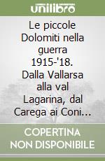 Le piccole Dolomiti nella guerra 1915-'18. Dalla Vallarsa alla val Lagarina, dal Carega ai Coni Zugna. Itinerari e storia