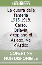 La guerra della fanteria 1915-1918. Carso, Oslavia, altopiano di Asiago, val d'Astico libro