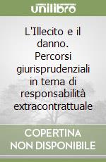 L'Illecito e il danno. Percorsi giurisprudenziali in tema di responsabilità extracontrattuale libro