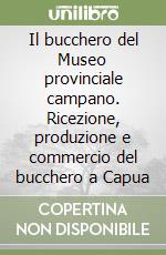 Il bucchero del Museo provinciale campano. Ricezione, produzione e commercio del bucchero a Capua