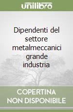 Dipendenti del settore metalmeccanici grande industria libro