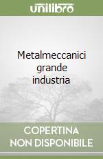 Metalmeccanici grande industria