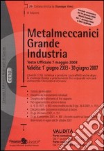 Metalmeccanici grande industria