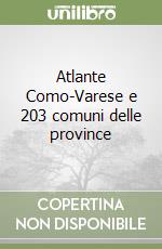 Atlante Como-Varese e 203 comuni delle province libro