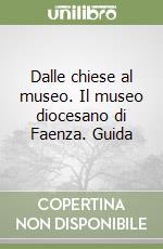 Dalle chiese al museo. Il museo diocesano di Faenza. Guida libro