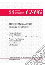 Professione: avvocato. Sguardi e metamorfosi libro