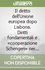 Il diritto dell'Unione europea dopo Lisbona. Diritti fondamentali e «cooperazione Schengen» nei rapporti fra l'Unione europa e la Svizzera libro