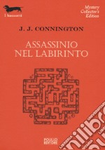 Assassinio nel labirinto libro