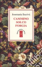 Cammino solco forgia libro