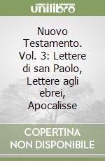 Nuovo Testamento. Vol. 3: Lettere di san Paolo, Lettere agli ebrei, Apocalisse libro