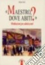 Maestro dove abiti? Meditazioni per adolescenti libro