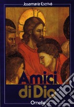 Amici di Dio. Omelie libro