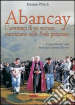 Abancay. L'avventura di un vescovo missionario nelle Ande peruviane libro