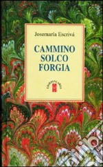 Cammino-Solco-Forgia libro