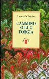 Cammino-Solco-Forgia libro