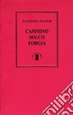 Cammino-Solco-Forgia libro