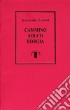 Cammino-Solco-Forgia libro