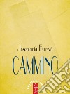 Cammino. Nuova ediz. libro