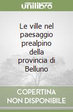 Le ville nel paesaggio prealpino della provincia di Belluno libro