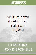 Sculture sotto il cielo. Ediz. italiana e inglese libro