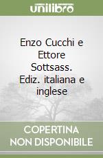 Enzo Cucchi e Ettore Sottsass. Ediz. italiana e inglese libro