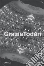 Grazia Toderi. Teatri. Catalogo della mostra (Venezia, 20 dicembre 2003-25 gennaio 2004). Ediz. italiana e inglese