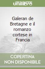 Galeran de Bretagne e il romanzo cortese in Francia libro