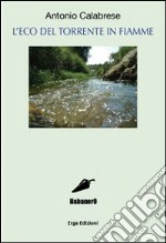 L'eco del torrente in fiamme libro