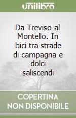 Da Treviso al Montello. In bici tra strade di campagna e dolci saliscendi libro