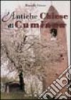 Antiche chiese di Cumiana libro